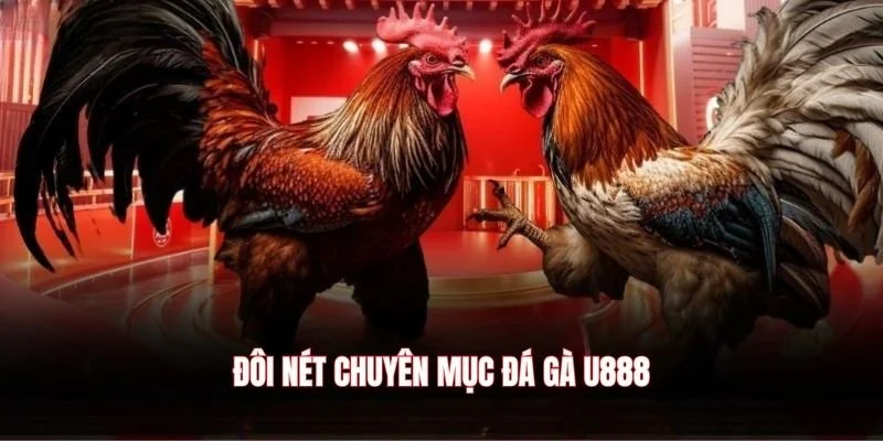 Đôi nét chuyên mục đá gà U888